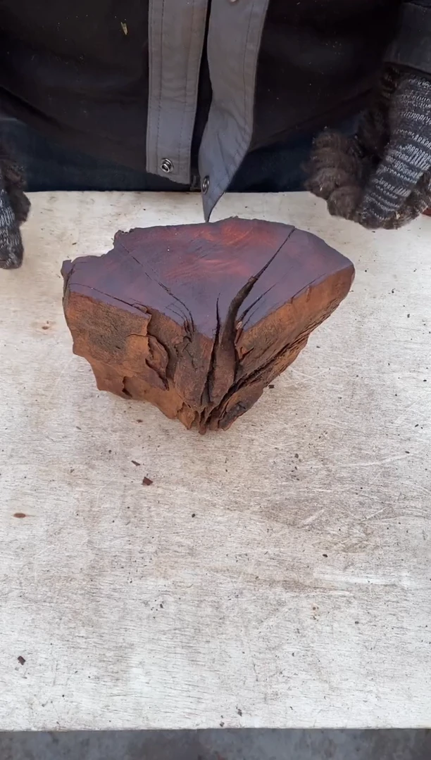 枣木【62】号原木段，尺寸随型