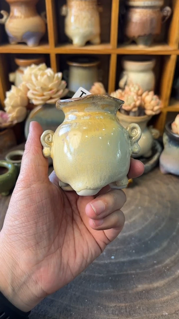 R****?861【多肉花盆多肉盆】