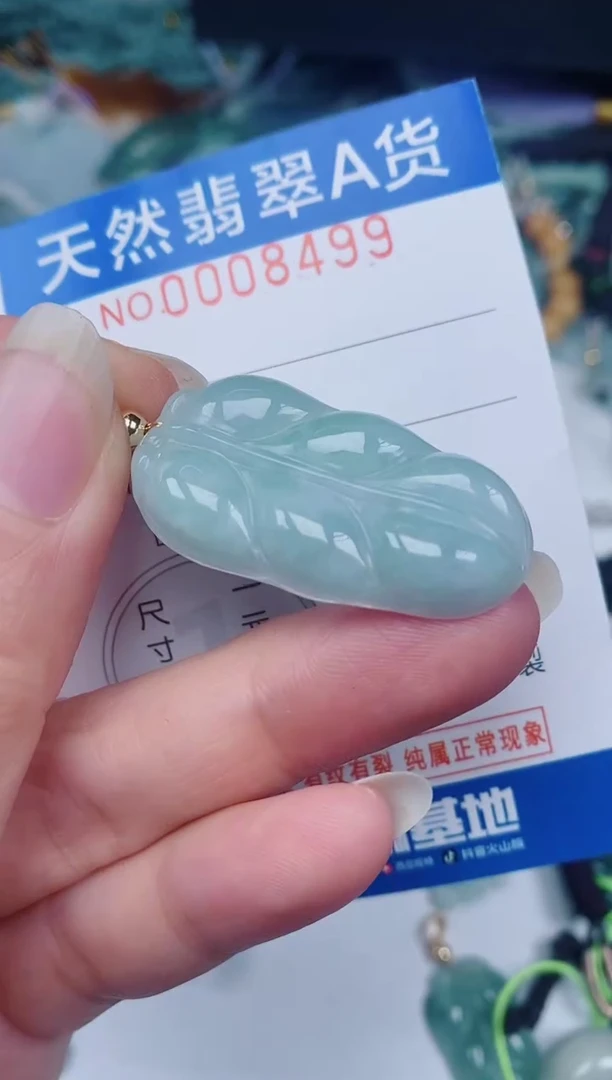 颈饰未镶嵌翡翠00008499