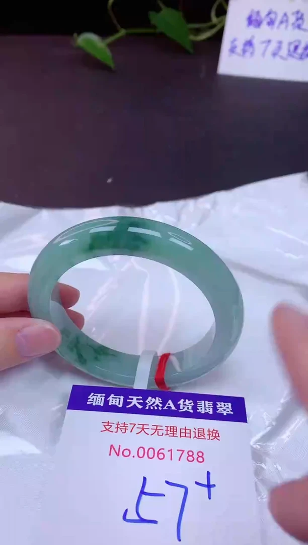 未镶嵌手镯翡翠57（7天无理由退换 ）