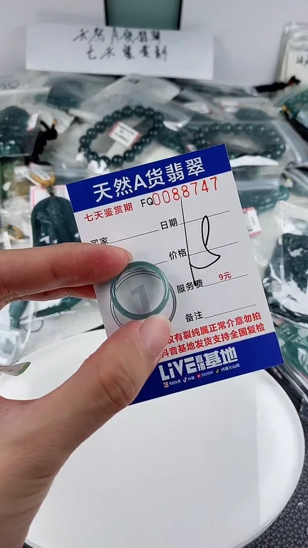翡翠未镶嵌颈饰18