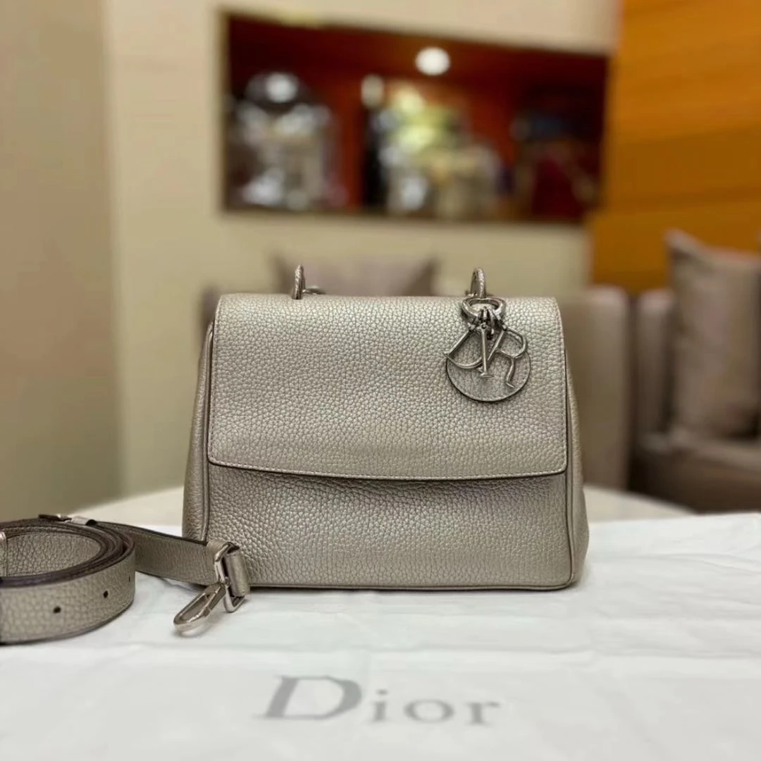99新 DIOR/迪奥 Dior Bedior珠光灰小号