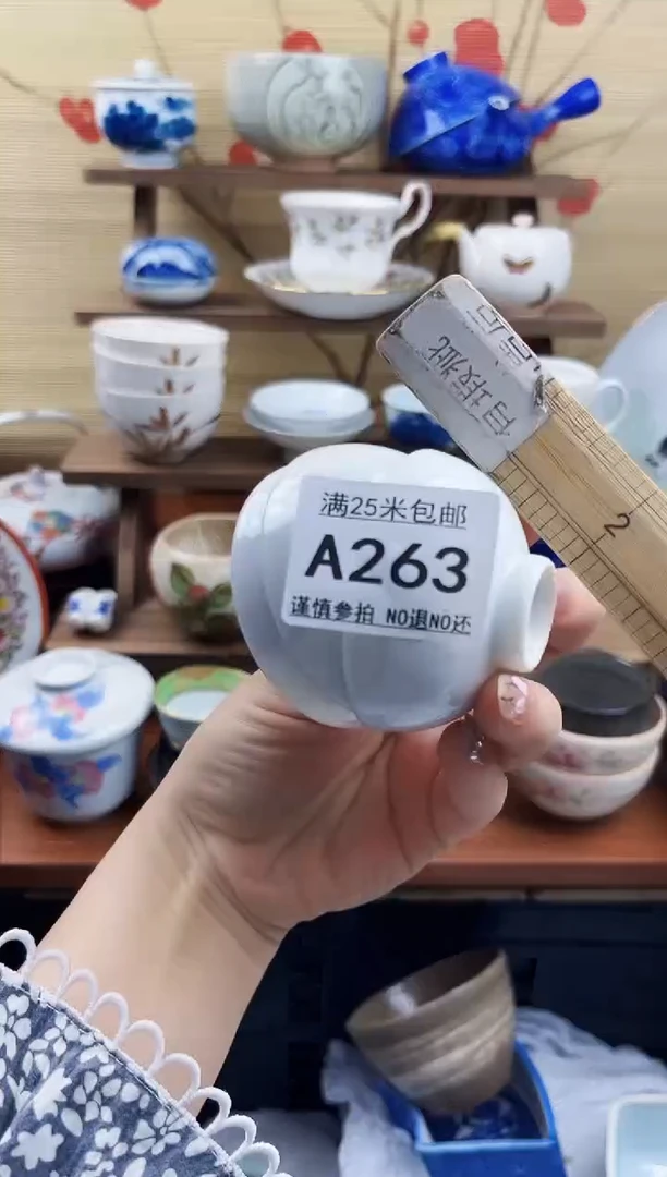 【闪购商品】a263==============