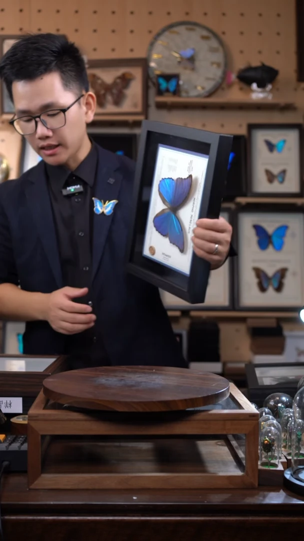 大蓝闪蝶A4设计横版带证书