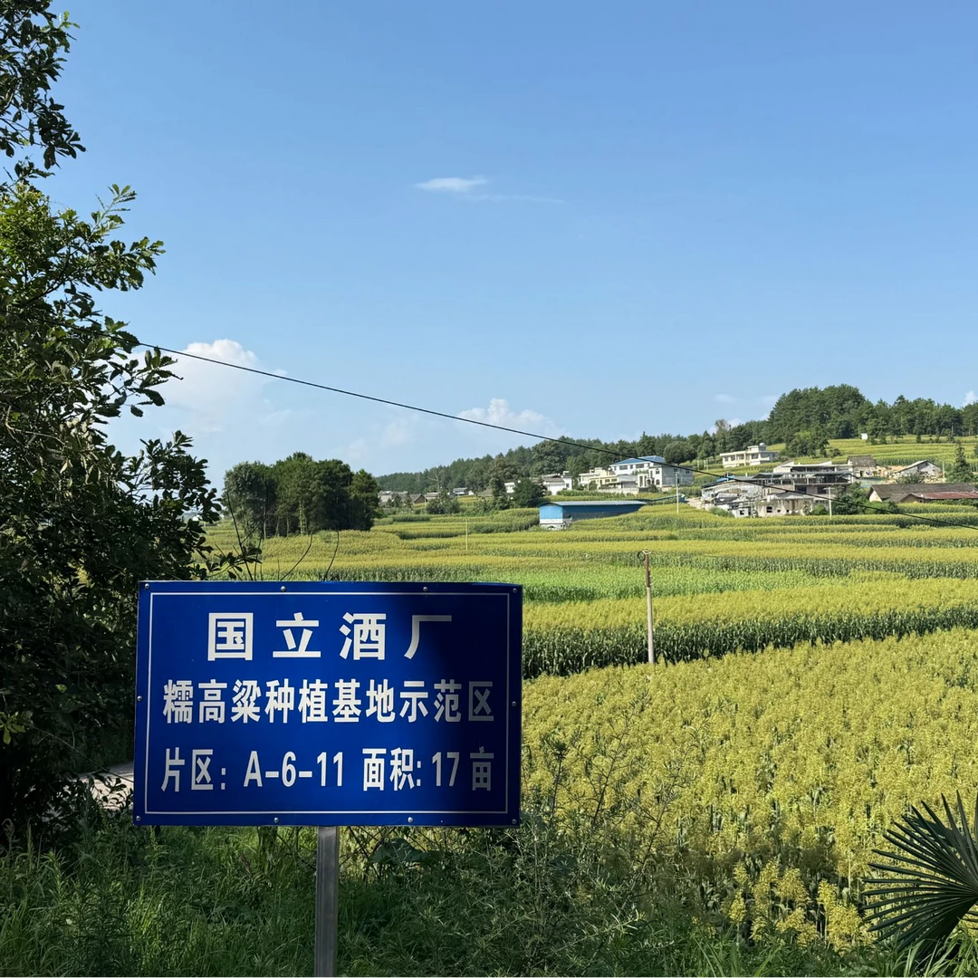 中识酱酒丨抵Y酒丨通用链接丨十斤装丨桶装丨茅台镇酱香型53%Vol