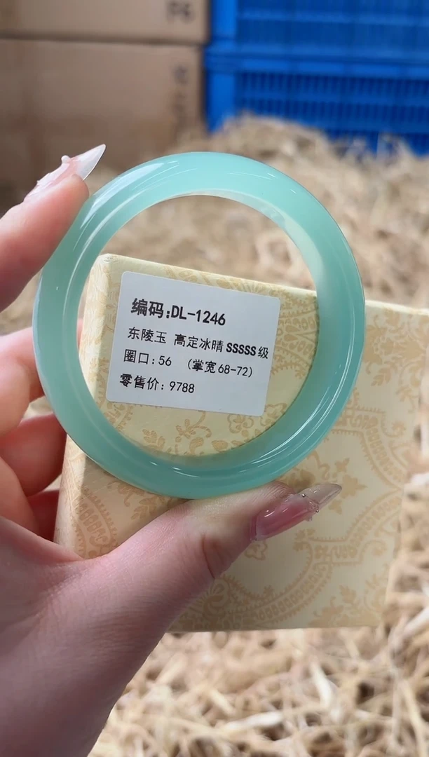 未镶嵌手镯石英质玉DL-1246