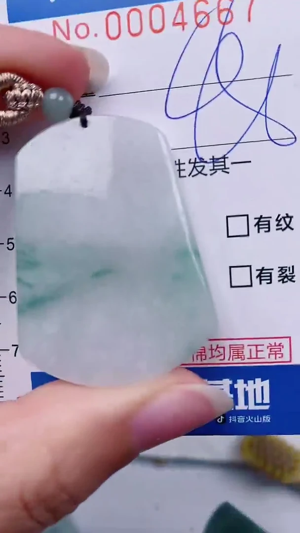 【闪购商品】翡翠颈饰未镶嵌00004667
