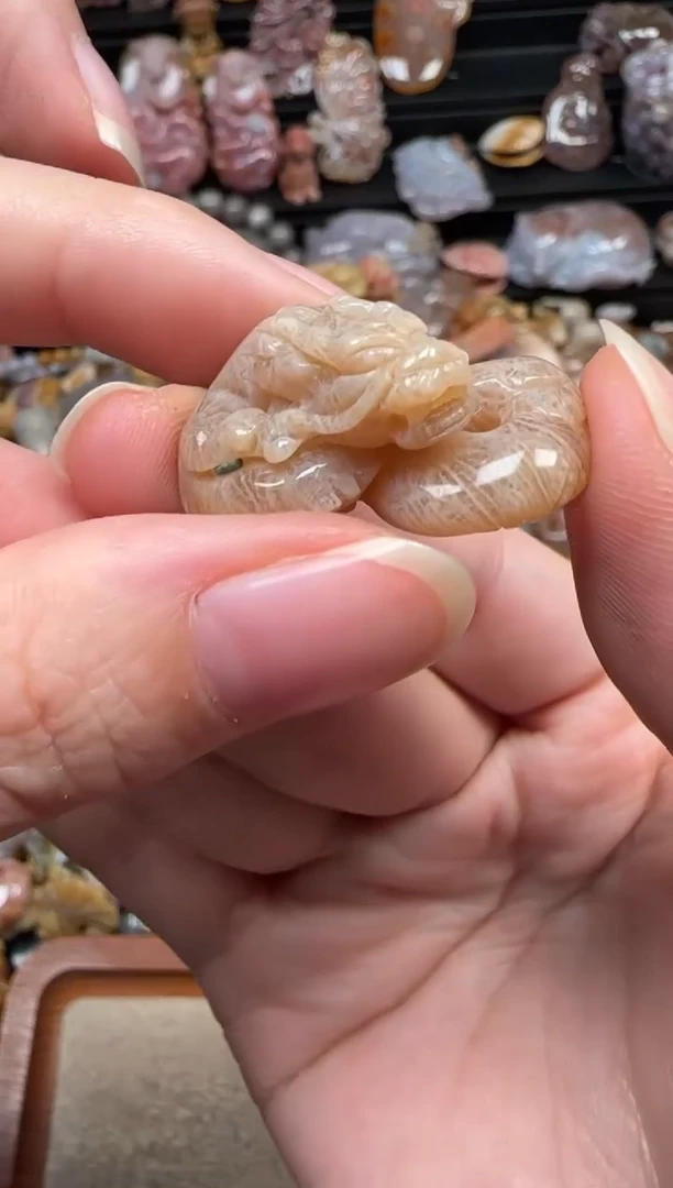 颈饰未镶嵌硅化珊瑚（珊瑚玉）938