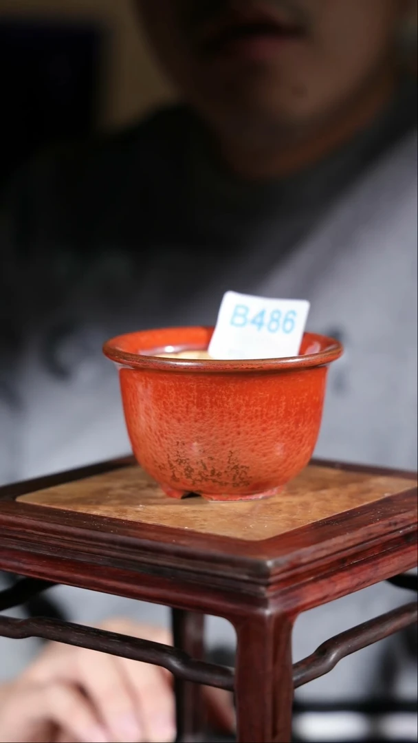 【闪购商品】红陶486