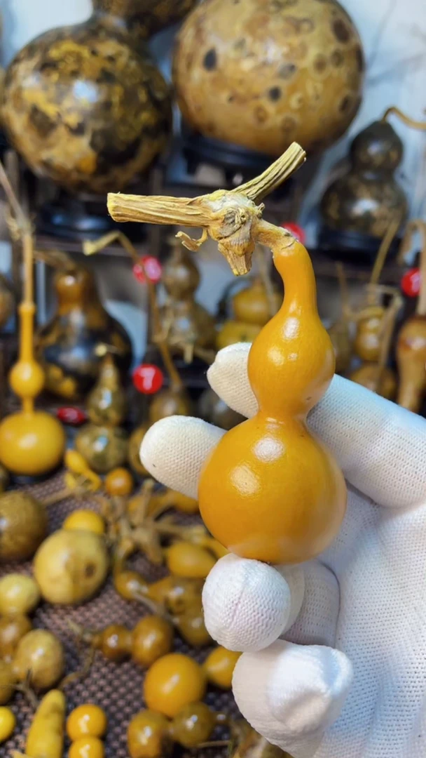 【闪购商品】葫芦葫芦葫芦葫芦