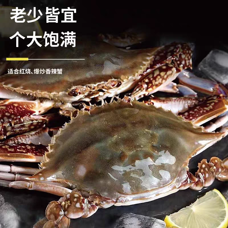 【保鲜不保活】【2斤送1斤】舟山梭子蟹8-12只(单只3-5两)公母随机
