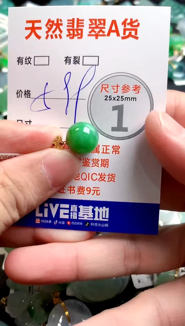 翡翠18K金镶嵌颈饰0849764091