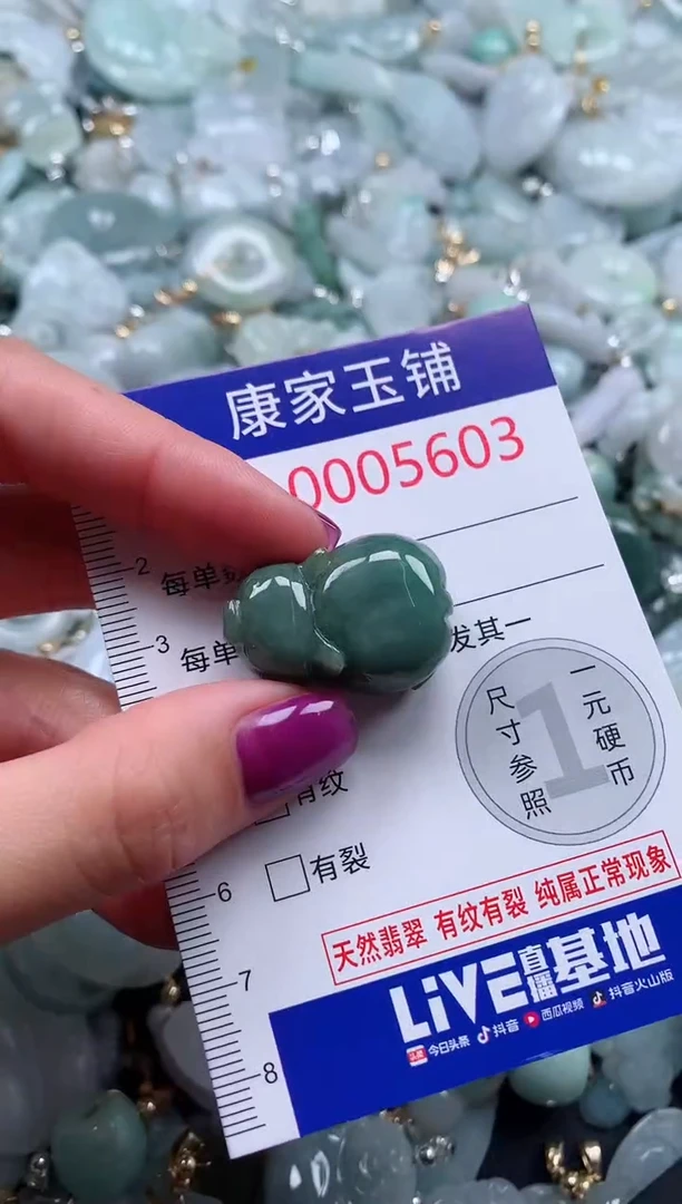 颈饰未镶嵌翡翠5603