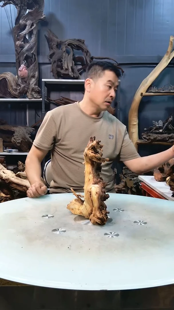 随机发货一个小号沉木9.9