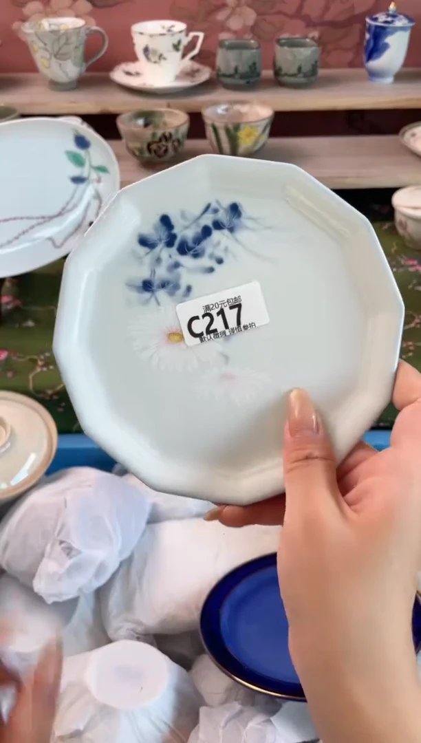 瓷片纳**子瓷器瓷器C217