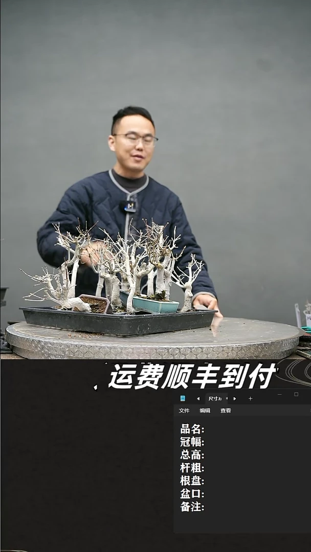 【闪购商品】124山红叶随机发货