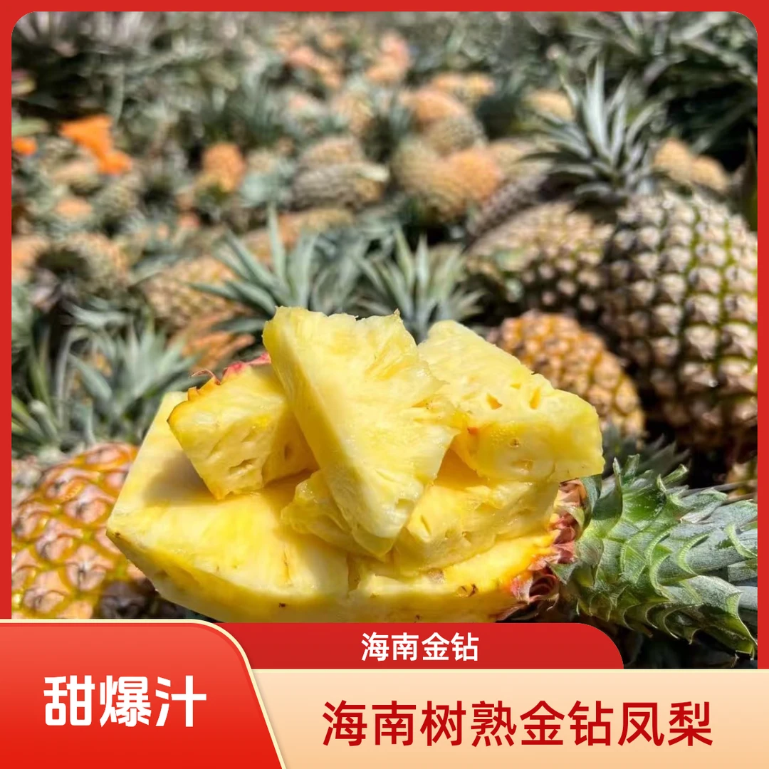 海南直发正宗金钻凤梨香甜多汁热带水果应季新鲜现摘果王不泡盐水
