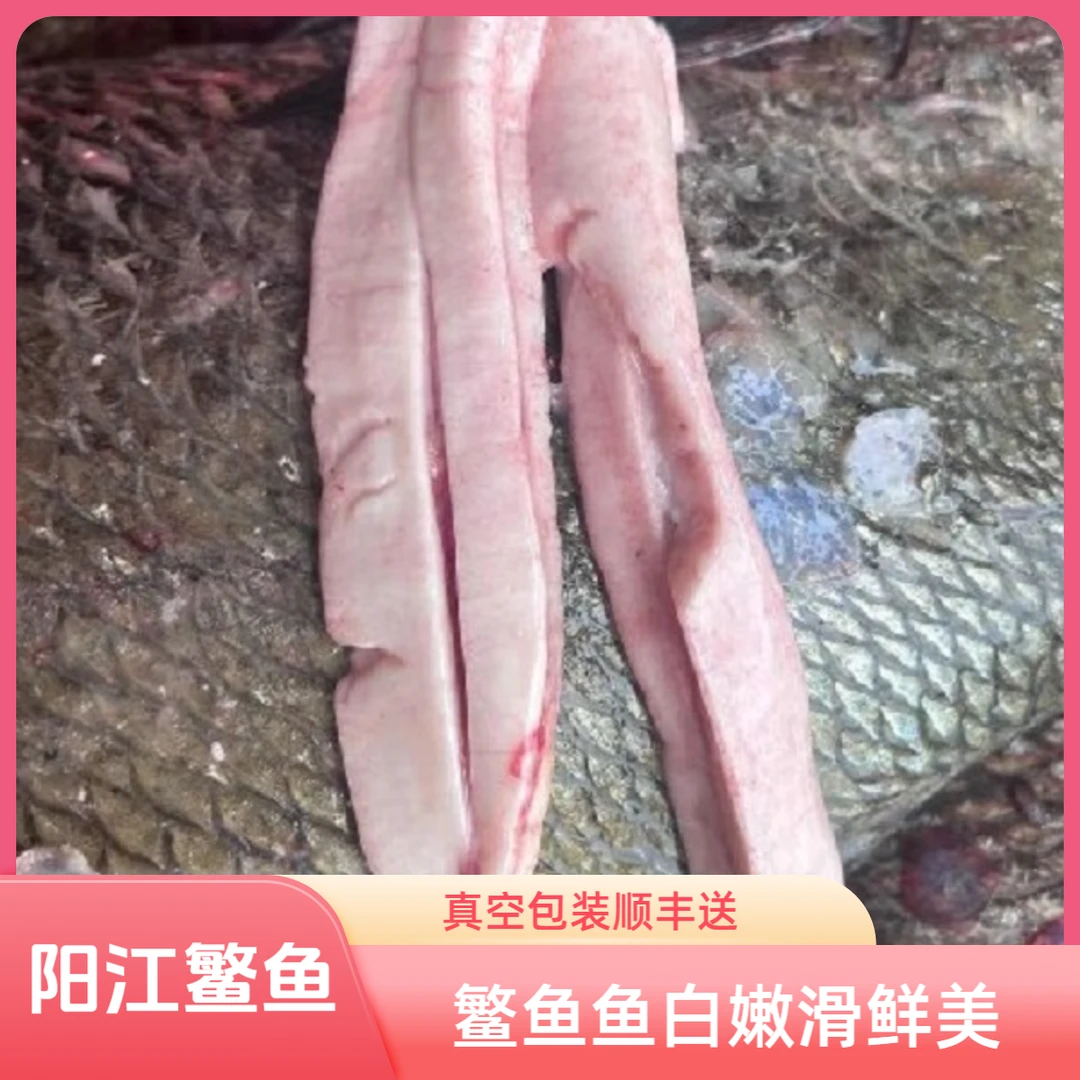 鱼白（1斤/盒）赤嘴鳘鱼白真空包装顺丰包邮脆爽下饭冰鲜爆炒美味