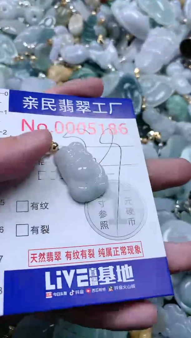 翡翠未镶嵌吊坠(不含链)5186