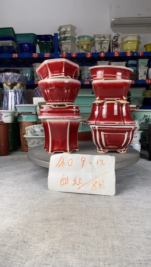 2605八只郎红花盆