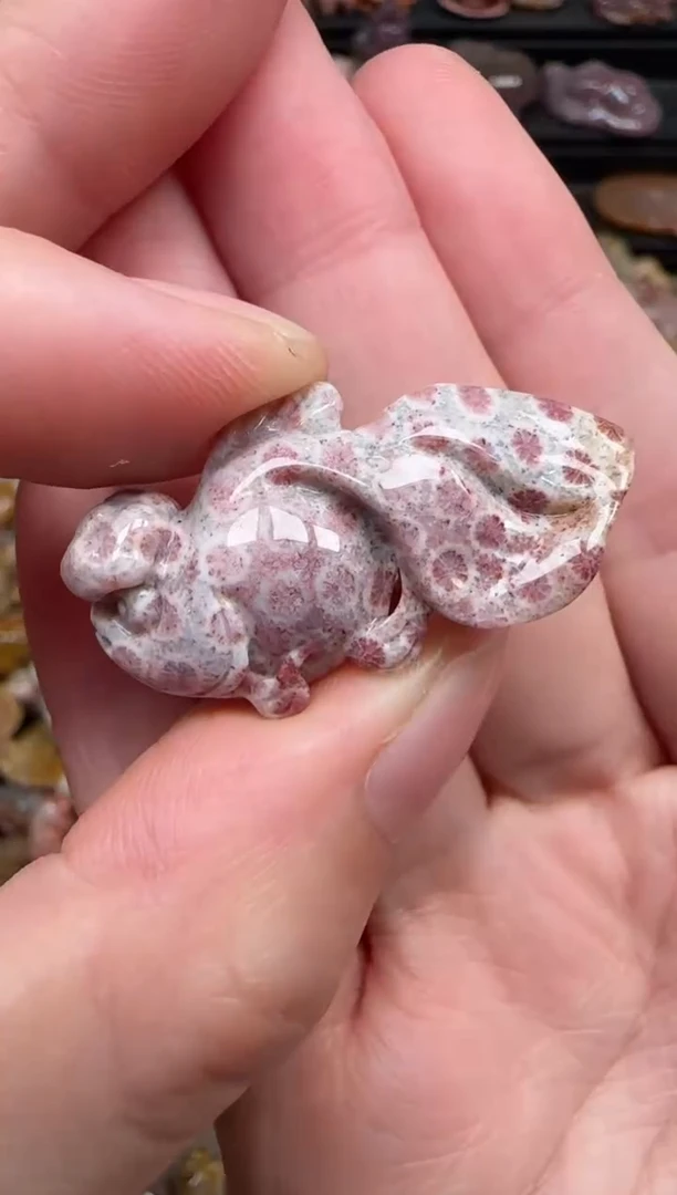 颈饰未镶嵌硅化珊瑚（珊瑚玉）104