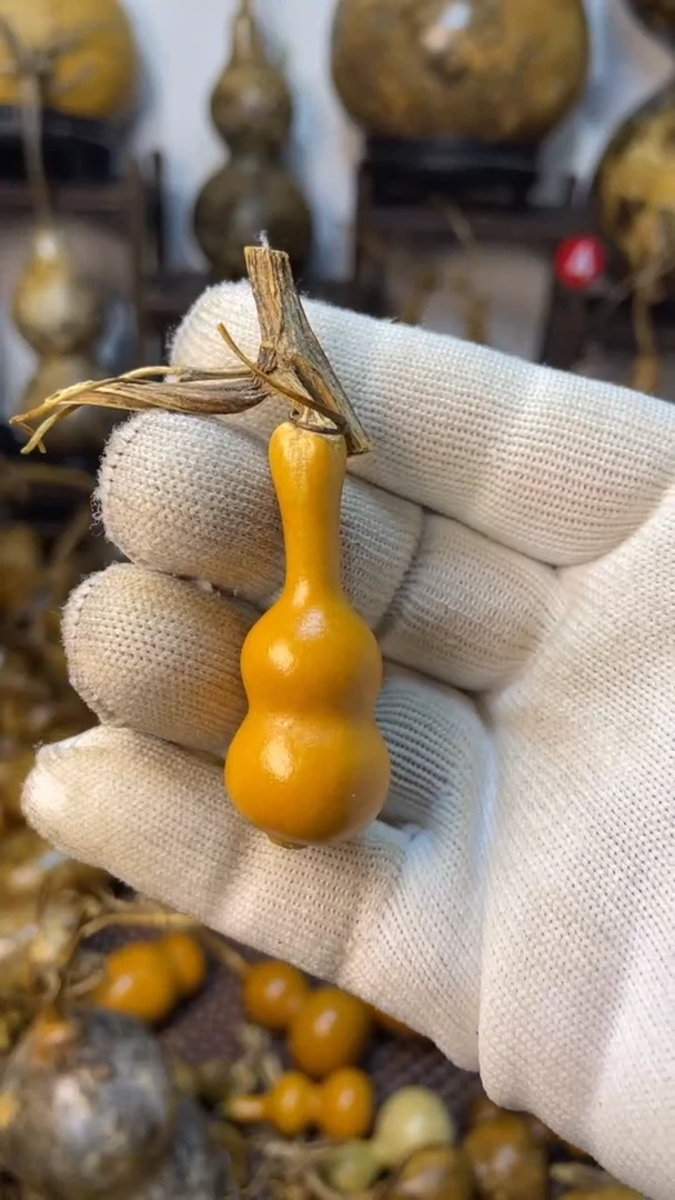 【闪购商品】葫芦葫芦葫芦葫芦