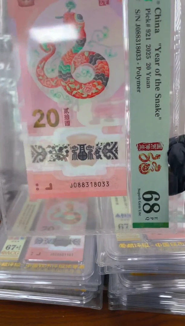 塑料 2025蛇钞 真钞 评级封装