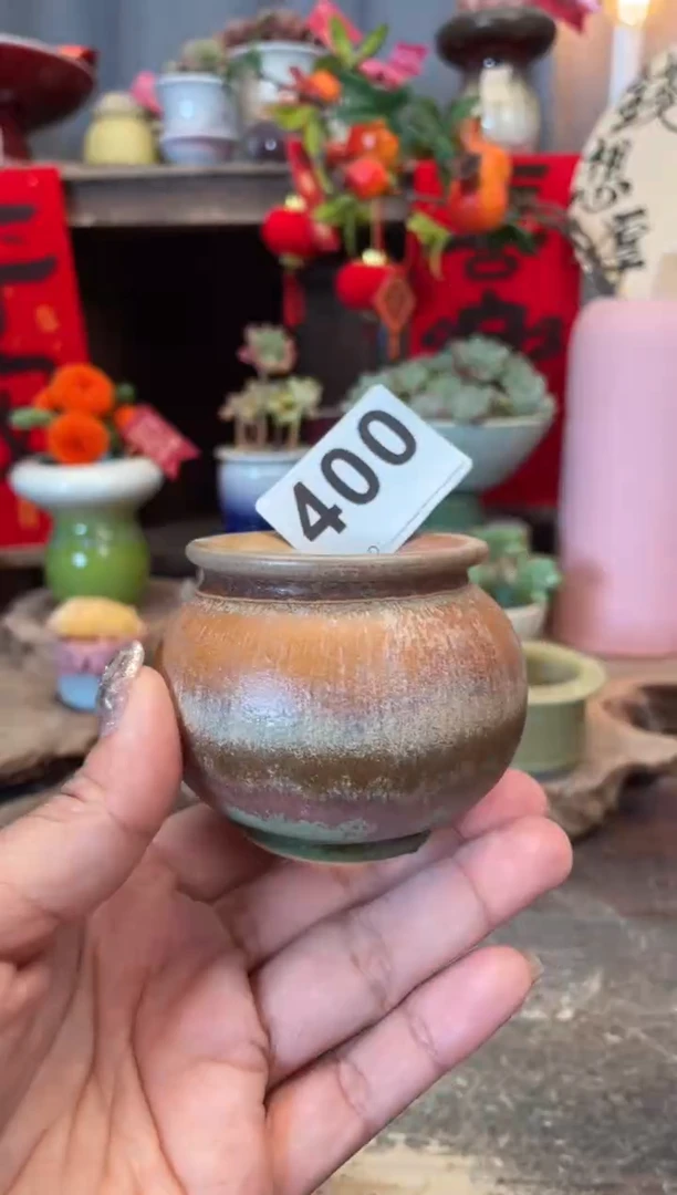 【闪购商品】摆件400知木小芳花盆