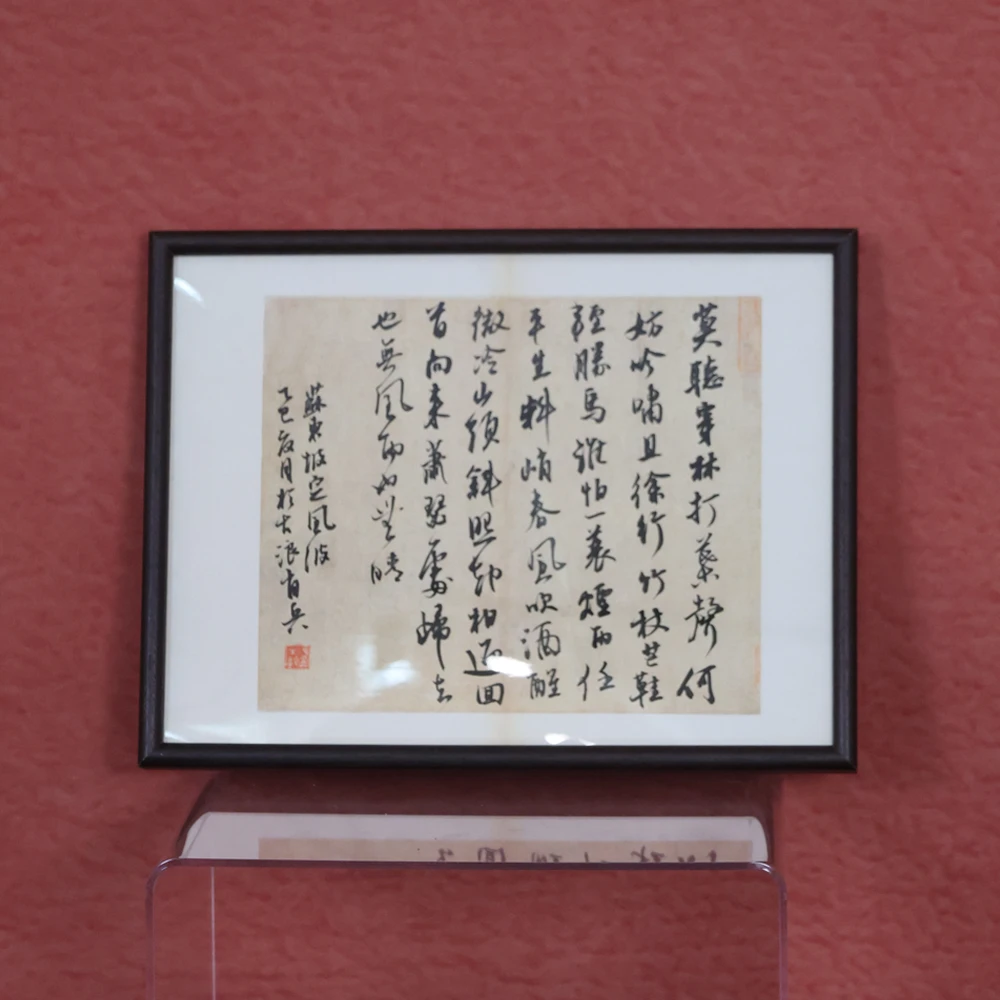 定风波-肖兵- 42*32手写书法作品玄关客厅茶室挂画