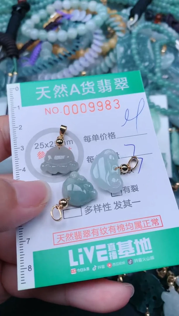 翡翠未镶嵌颈饰.0009983