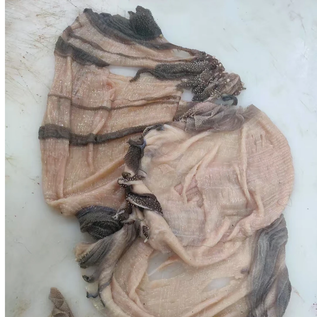 【春恒百叶底板】3斤有味叶片已去 有破损介意慎拍 无泡发水洗有冰