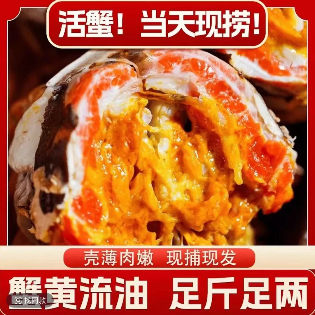 【活蟹现发]精品大闸蟹母蟹 3.2两2.9两10只装