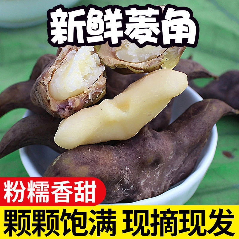 湖北老菱角新鲜凌角粉糯老菱角黑牛角现摘现发菱角新鲜蔬菜水果