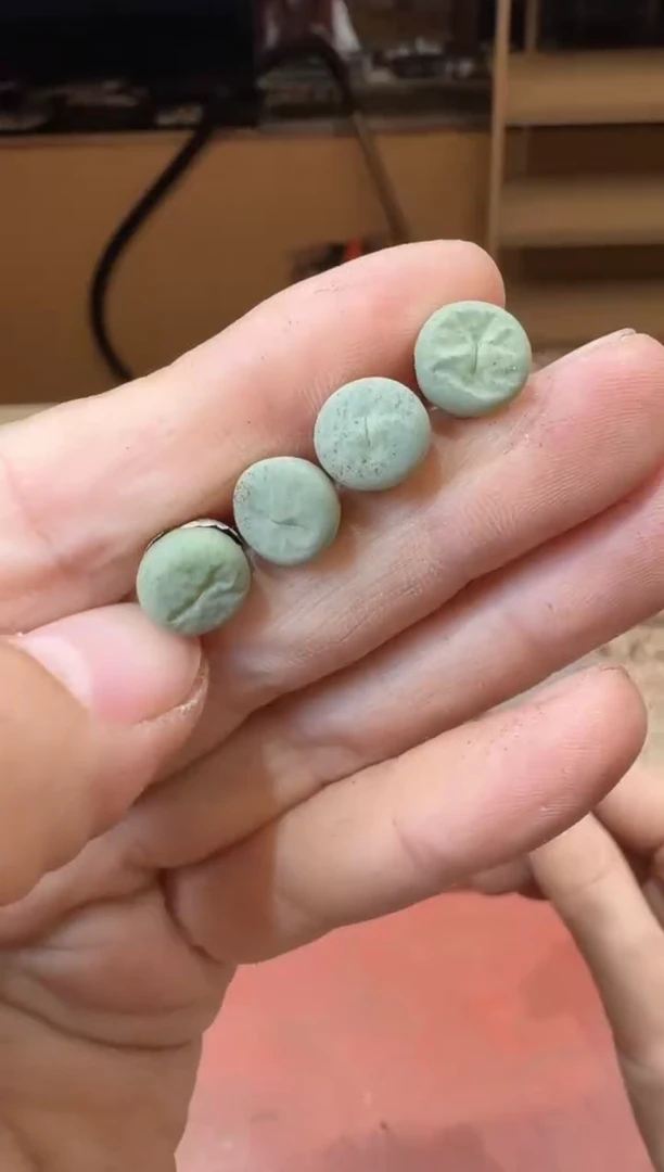 20-271多肉植物肉锥