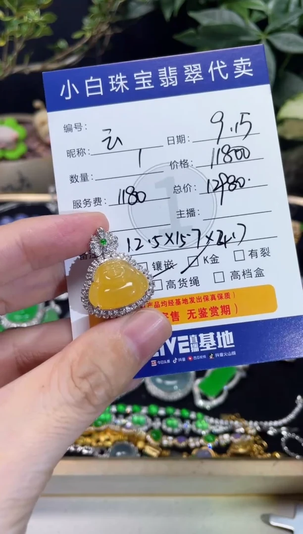 吊坠(不含链)18K金镶嵌翡翠今***?吊坠