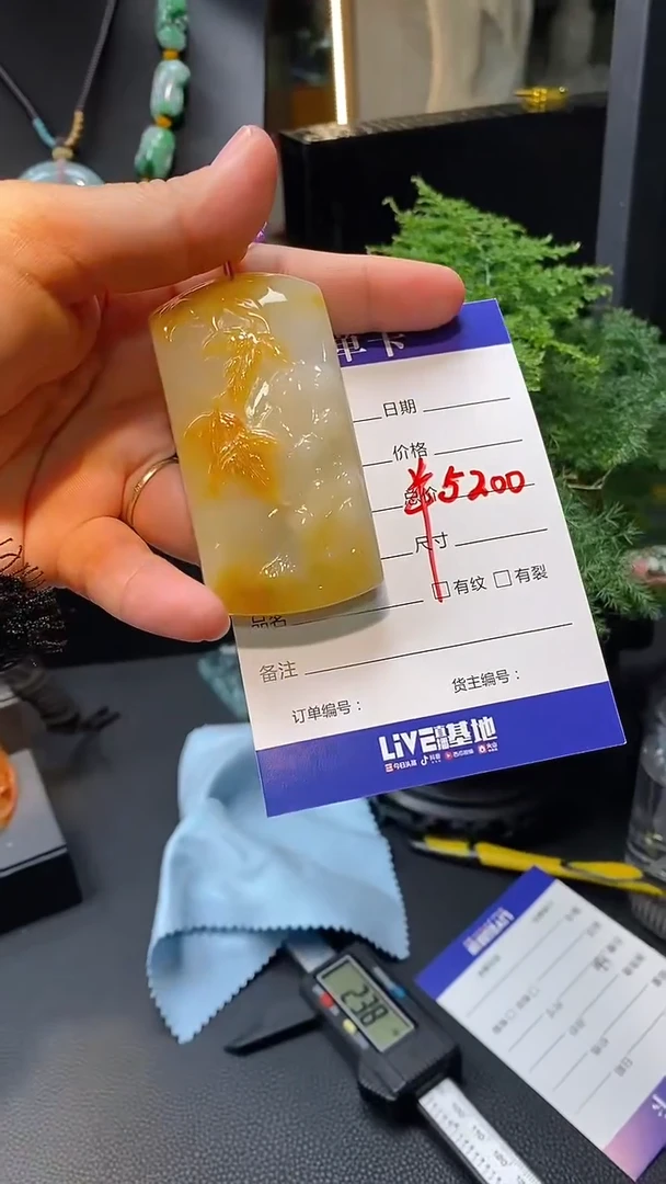 【闪购商品】翡翠颈饰未镶嵌挂件
