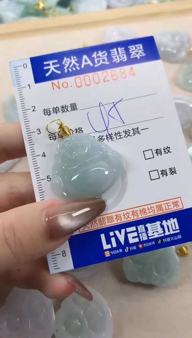 翡翠未镶嵌颈饰天然A货翡翠
