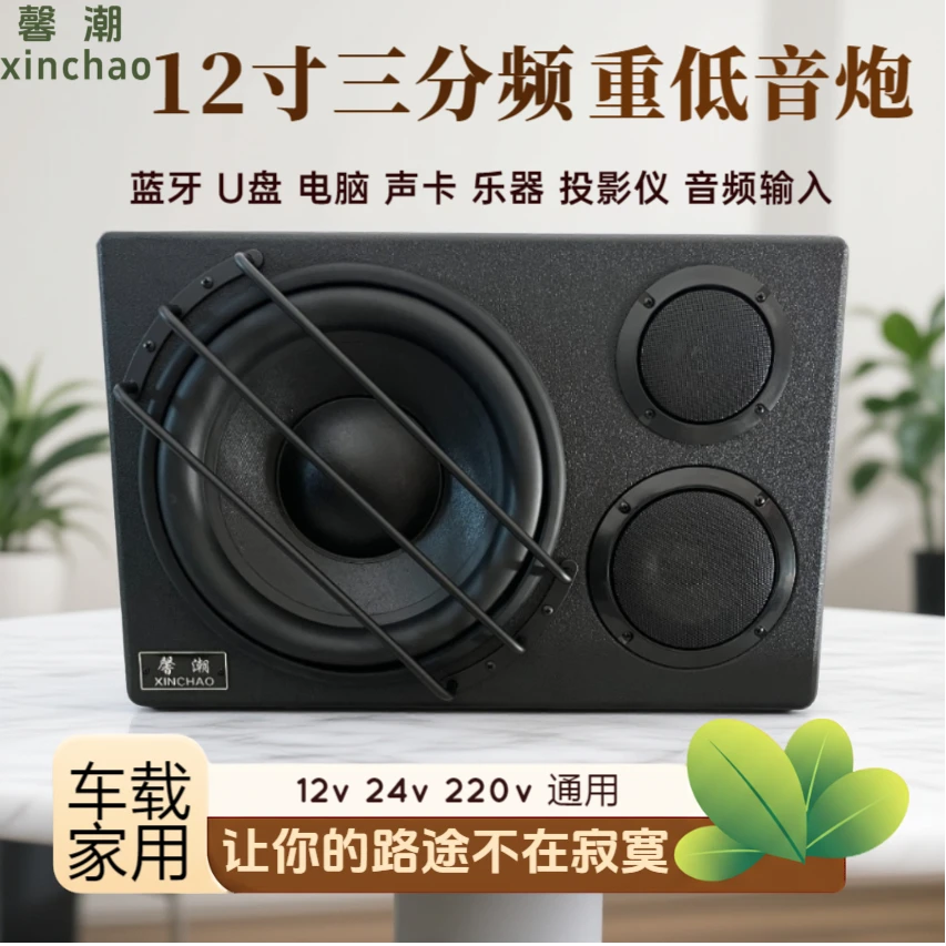 12寸三分频大功率 汽车货车 工厂家用12V/24V/220V多功能重低音炮