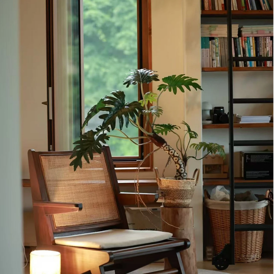 1号链接一物一拍龙鳞小天使拍下以直播间为准