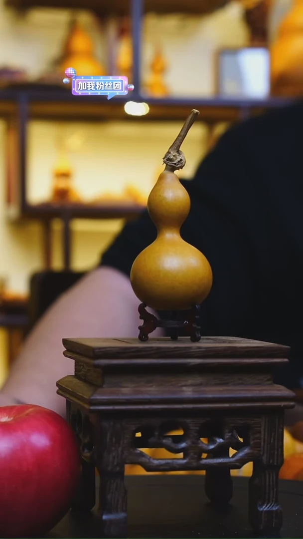 【闪购商品】沙威兄弟被拍麻了的葫