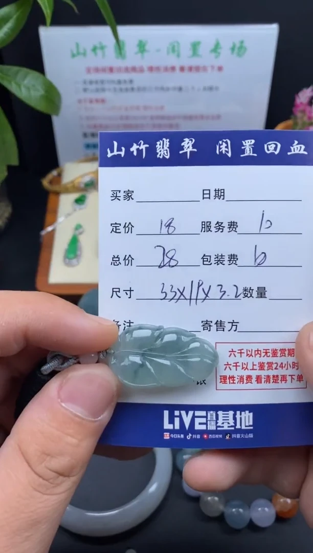 颈饰未镶嵌翡翠3000956