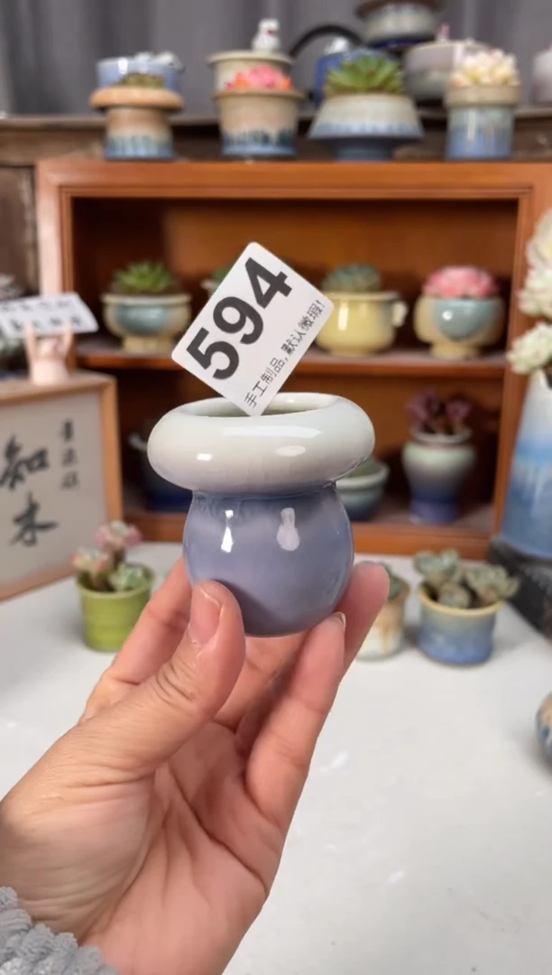 瓷片594小芳直播编号