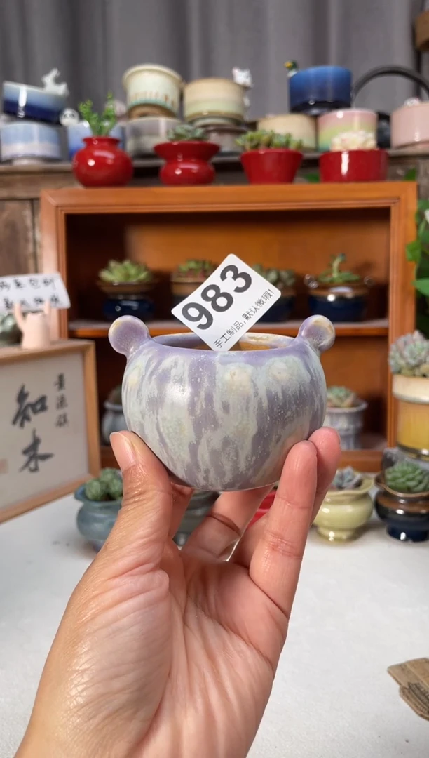 瓷片983知木小芳花盆编号