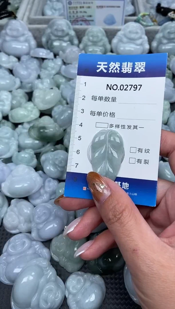 颈饰未镶嵌翡翠纯天然A货翡翠2797