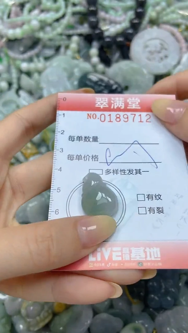 颈饰未镶嵌翡翠闪购0189712
