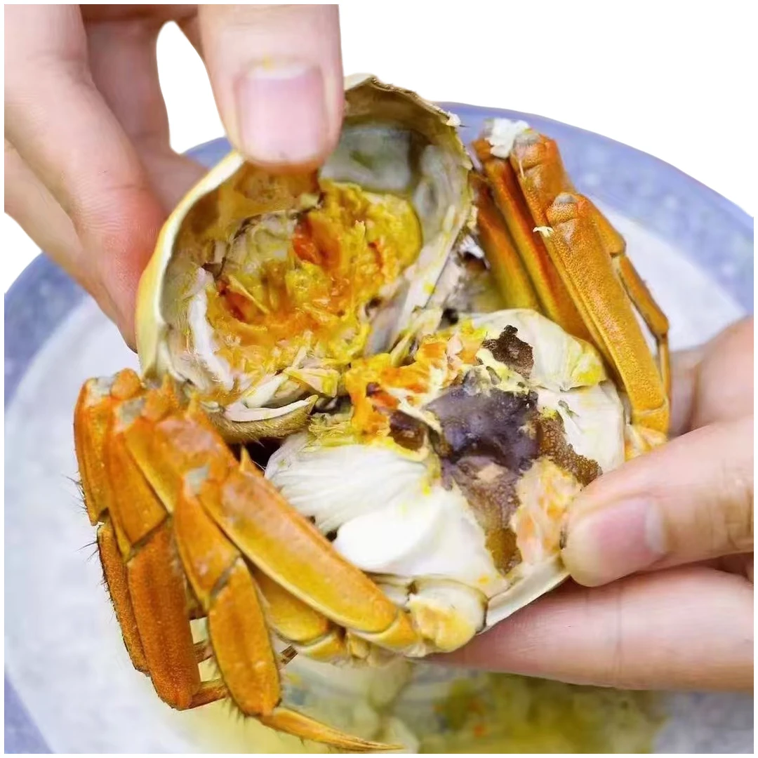 【活蟹】【小时达】大闸蟹母蟹一只2.1-1.9两 鲜活到家 有黄有肉