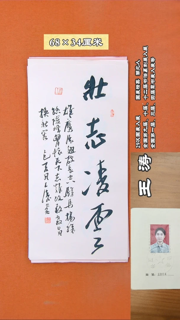 书法80D王涛书法作品