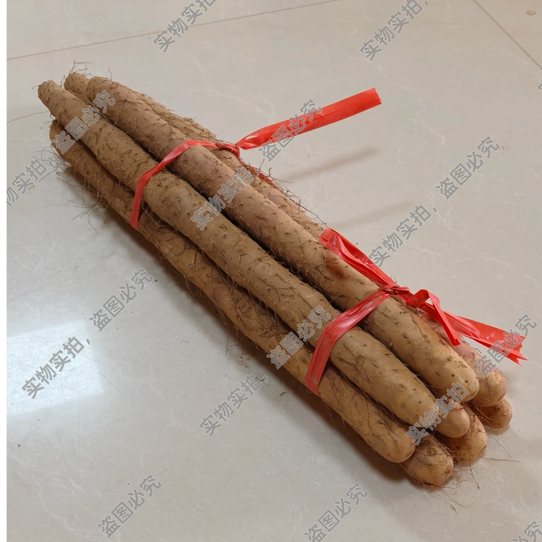 正宗垆土铁棍山药55cm 净重5斤 高品质 新鲜发货
