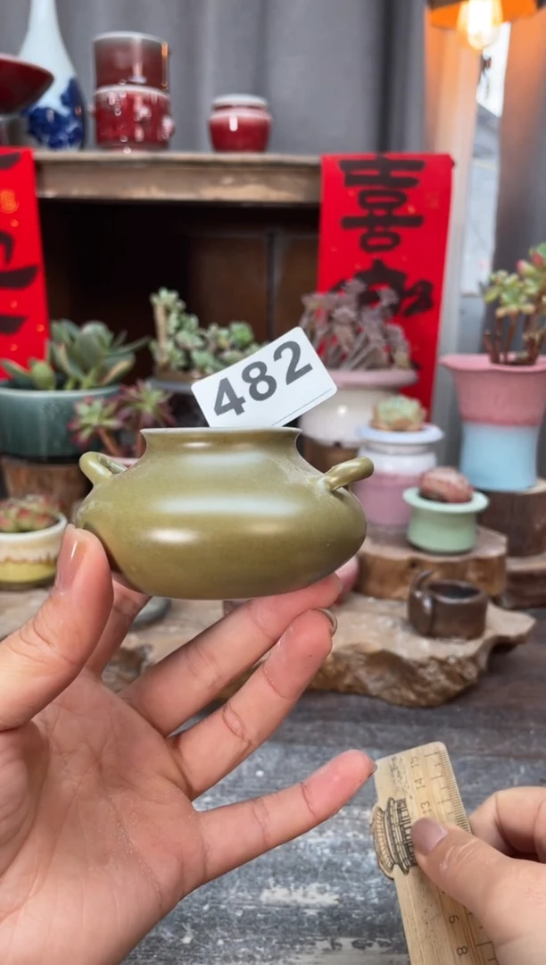 【闪购商品】摆件482知木小芳花盆