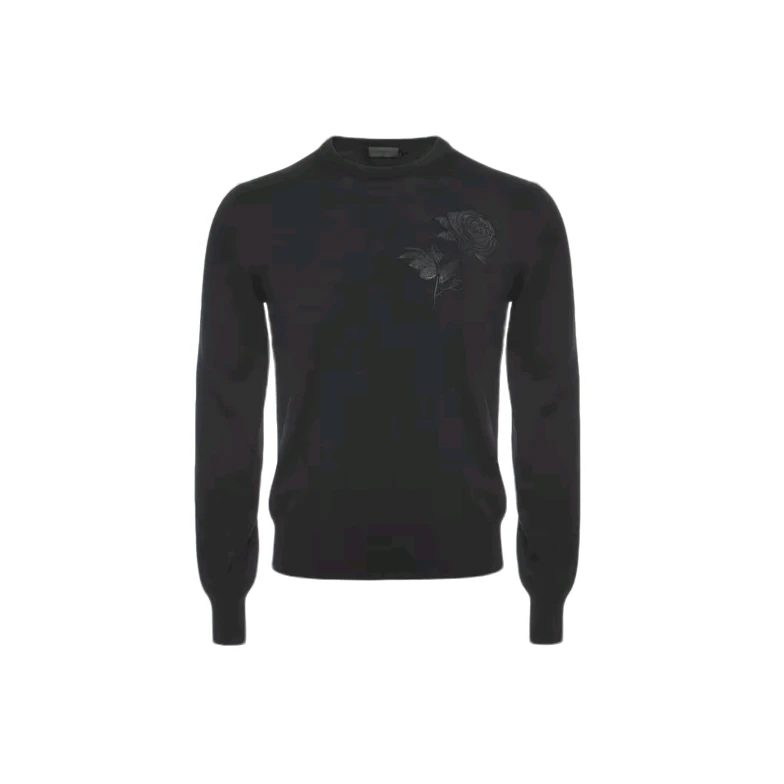 Alexander McQueen/亚历山大·麦昆男士套衫羊毛针织衫/毛衣